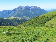 19 Distese fiorite di Trollius europaeus (Botton d'oro) con vista in Alben